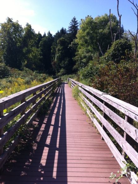 Paper mill road park